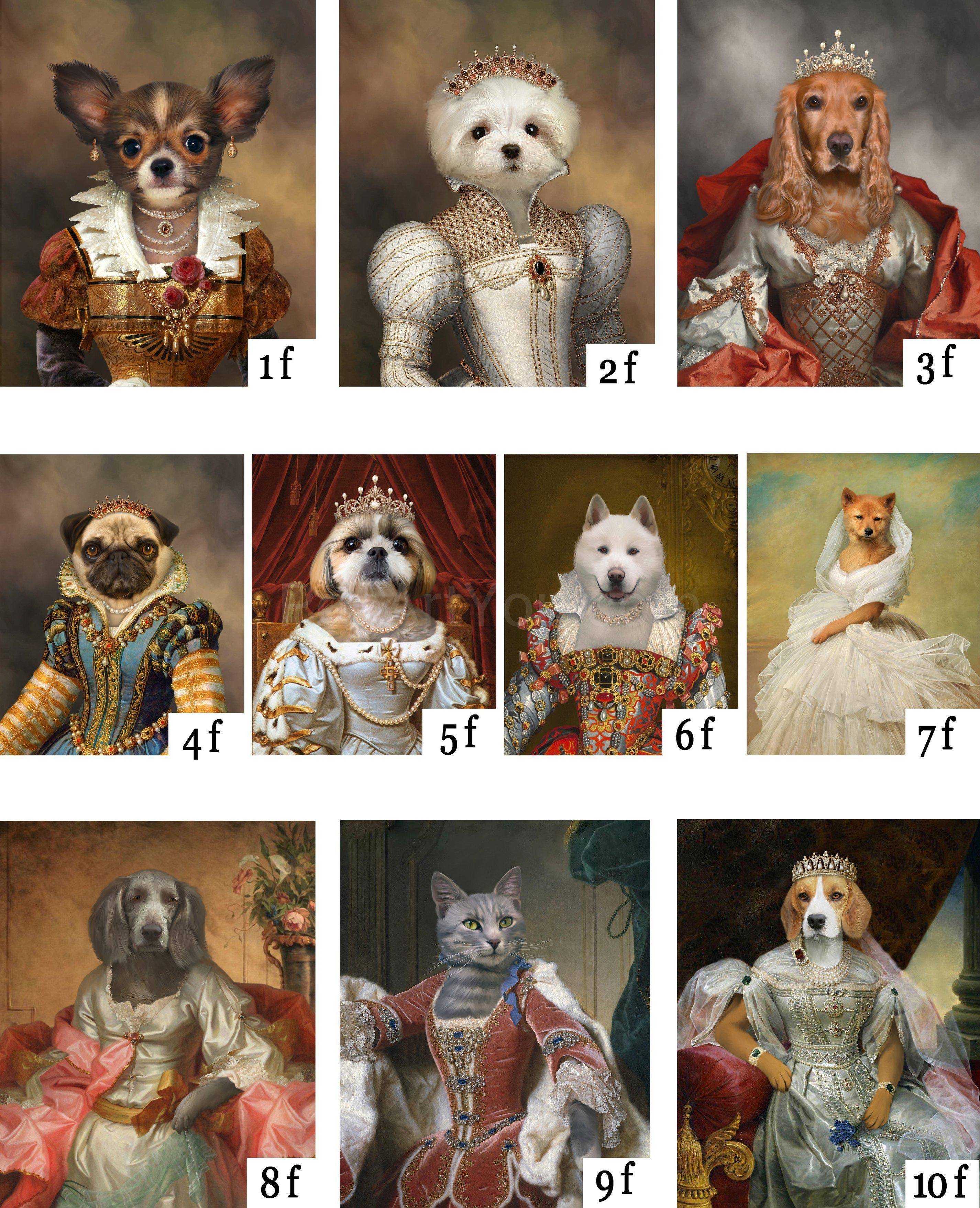 The third of many costume combinations for a multi pets portrait