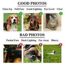 Load image into Gallery viewer, Devil male pet portrait
